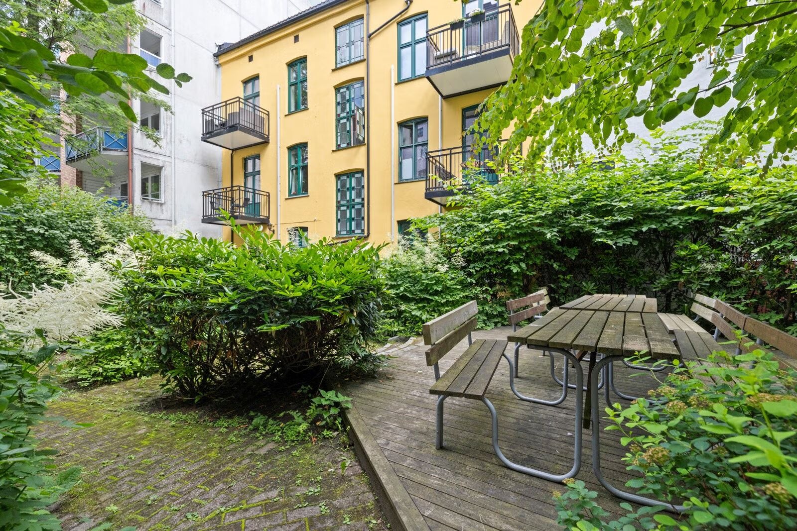 Frodig og grønn bakgård